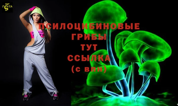 хмурый Медногорск