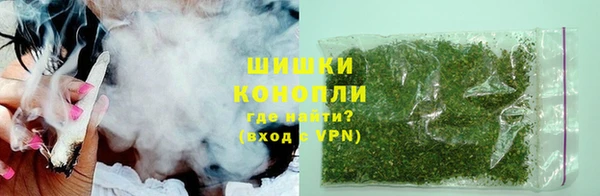 индика Медвежьегорск