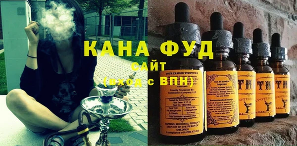 индика Медвежьегорск