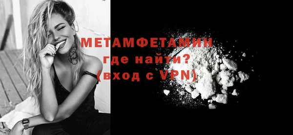 индика Медвежьегорск
