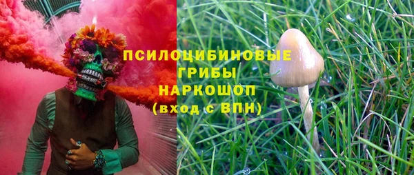 МДПВ Покровск