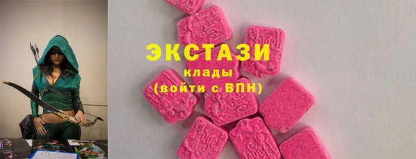 индика Медвежьегорск