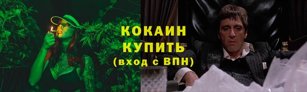 индика Медвежьегорск