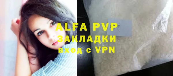 индика Медвежьегорск