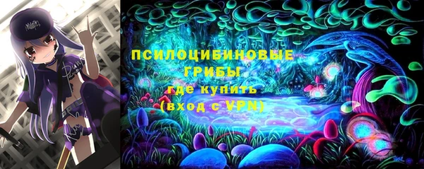 хмурый Медногорск
