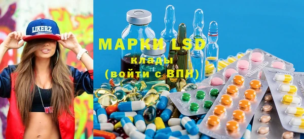 индика Медвежьегорск