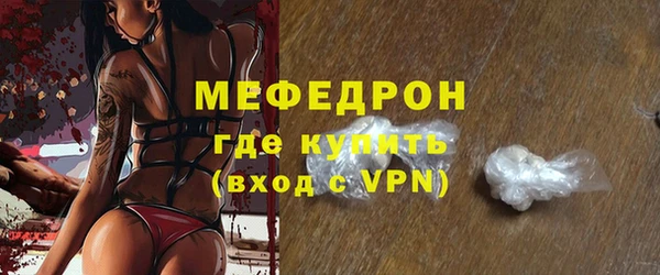 индика Медвежьегорск