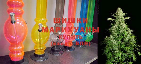 индика Медвежьегорск