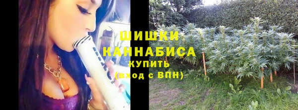 индика Медвежьегорск