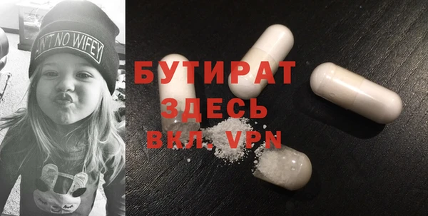 индика Медвежьегорск