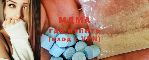 индика Медвежьегорск