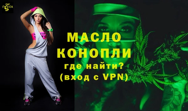 индика Медвежьегорск
