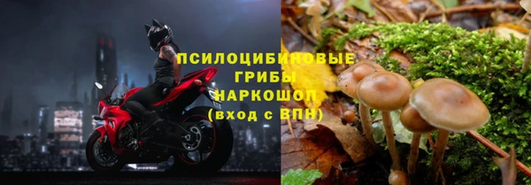 Альфа ПВП Покачи