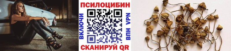 ОМГ ОМГ сайт  Спас-Клепики  Псилоцибиновые грибы прущие грибы 